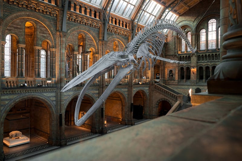 Educational Exhibits